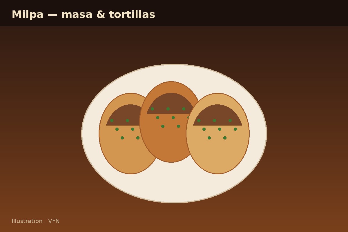 Illustrated masa tortillas on a plate (VFN illustration)